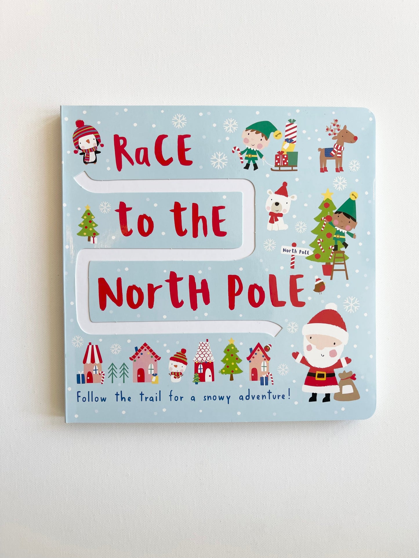 race to the north pole